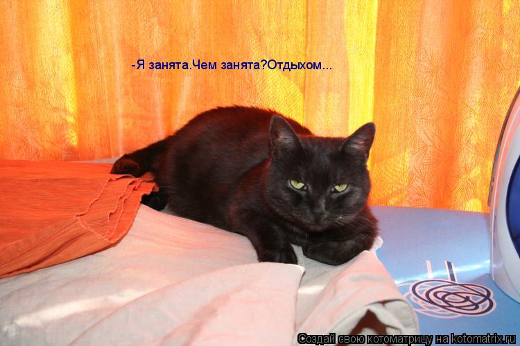 Котоматрица: -Я занята.Чем занята?Отдыхом...