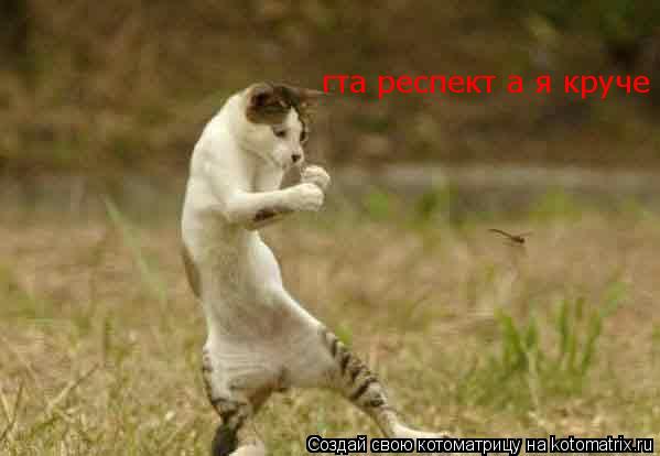 Котоматрица: гта респект а я круче