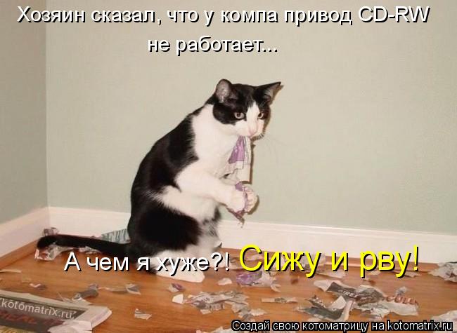 Хозяин сказал, что у компа привод CD-RW не работает... А чем я хуже?! Сижу и рву!... Котоматрица: Хозяин сказал, что у компа привод CD-RW не работает... А чем я хуже?! Сижу и рву!