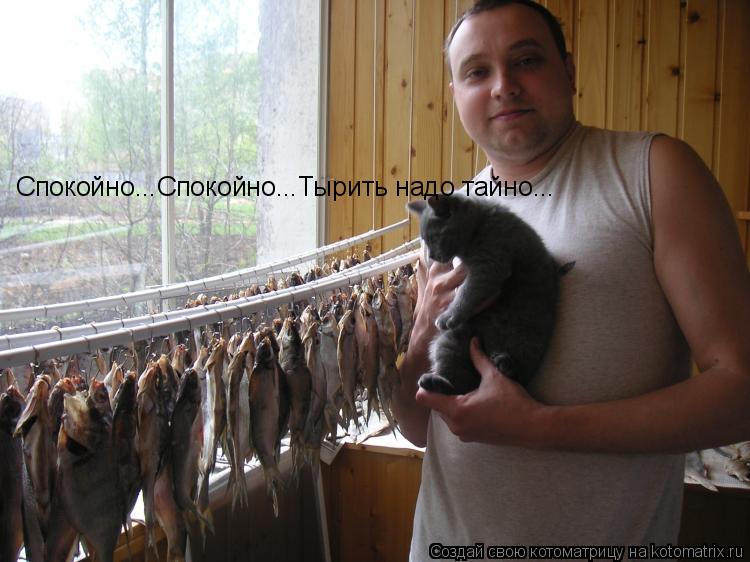 Котоматрица: Спокойно...Спокойно...Тырить надо тайно...