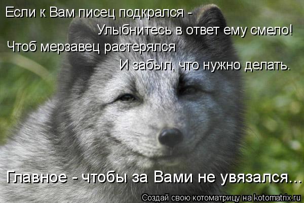 Котоматрица: Если к Вам писец подкрался - Улыбнитесь в ответ ему смело! И забыл, что нужно делать. Чтоб мерзавец растерялся Главное - чтобы за Вами не увяз