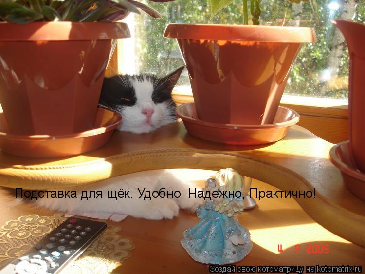 Котоматрица: Подставка для щёк. Удобно, Надежно, Практично!