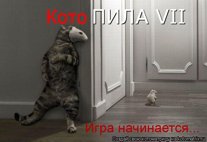 Котоматрица: Кото ПИЛА VII Игра начинается...