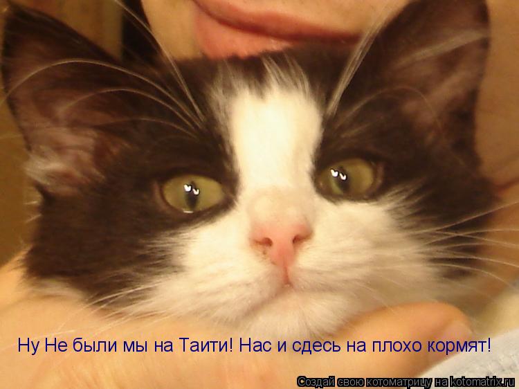 Котоматрица: Ну Не были мы на Таити! Нас и сдесь на плохо кормят!