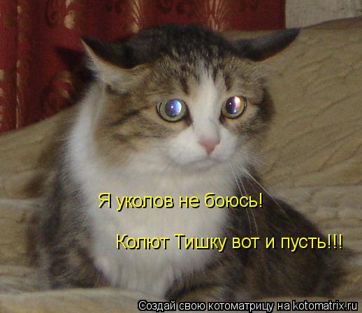 Котоматрица: Я уколов не боюсь! Колют Тишку вот и пусть!!!