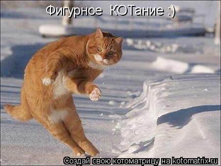 Фигурное КОТание :)... Котоматрица: Фигурное КОТание :)