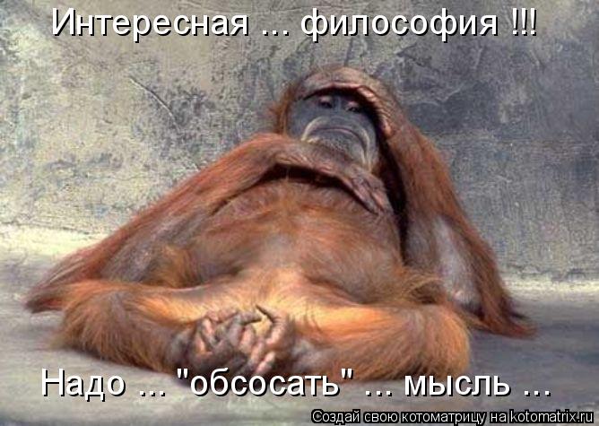 Интересная ... философия !!! Надо ... "обсосать" ... мысль ...... Котоматрица: Интересная ... философия !!! Надо ... "обсосать" ... мысль ...