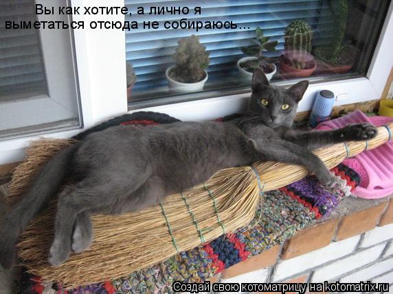 Вы как хотите, а лично я выметаться отсюда не собираюсь...... Котоматрица: Вы как хотите, а лично я выметаться отсюда не собираюсь...