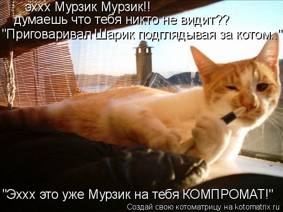 эххх Мурзик Мурзик!! думаешь что тебя никто не видит?? "Приговаривал Шарик подглядывая за котом.." "Э... Котоматрица: эххх Мурзик Мурзик!! думаешь что тебя никто не видит?? "Приговаривал Шарик подглядывая за котом.." "Эххх это уже Мурзик на тебя КОМПРОМАТ!"