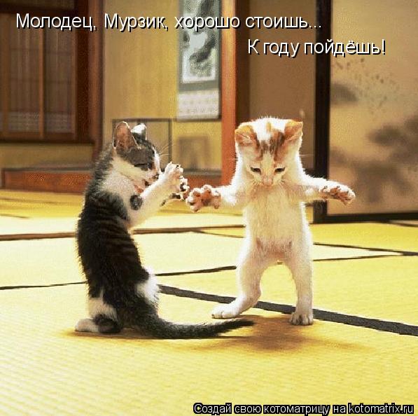 Молодец, Мурзик, хорошо стоишь... К году пойдёшь!... Котоматрица: Молодец, Мурзик, хорошо стоишь... К году пойдёшь!