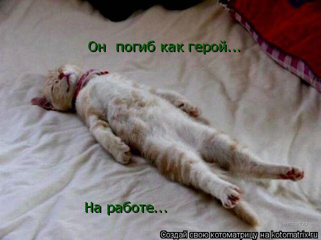 Он погиб как герой... На работе...... Котоматрица: Он погиб как герой... На работе...