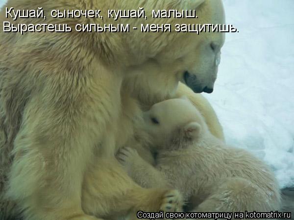 Кушай, сыночек, кушай, малыш. Кушай, сыночек, кушай, малыш. Вырастешь сильным - меня защитишь.... Котоматрица: Кушай, сыночек, кушай, малыш. Кушай, сыночек, кушай, малыш. Вырастешь сильным - меня защитишь.