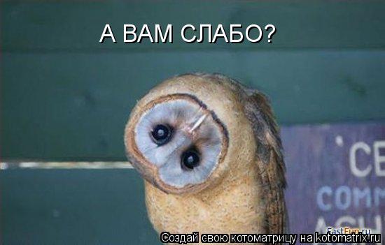 А ВАМ СЛАБО?... Котоматрица: А ВАМ СЛАБО?