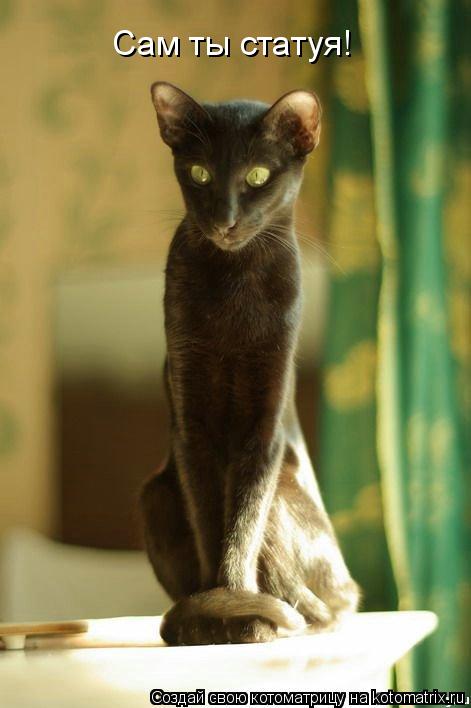 Сам ты статуя!... Котоматрица: Сам ты статуя!