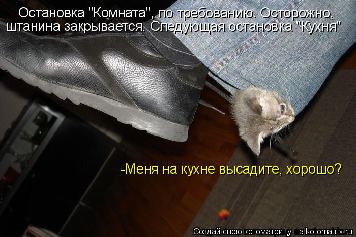 Остановка "Комната", по требованию. Осторожно, Остановка "Комната", по требованию. Осторожно, штанина... Котоматрица: Остановка "Комната", по требованию. Осторожно, Остановка "Комната", по требованию. Осторожно, штанина закрывается. Следующая остановка "Кухн