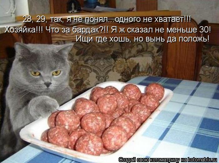 28, 29, так, я не понял...одного не хватает!!! Хозяйка!!! Что за бардак?!! Я ж сказал не меньше 30! И... Котоматрица: 28, 29, так, я не понял...одного не хватает!!! Хозяйка!!! Что за бардак?!! Я ж сказал не меньше 30! Ищи где хошь, но вынь да положь!