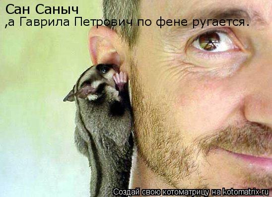Сан Саныч ,а Гаврила Петрович по фене ругается.... Котоматрица: Сан Саныч ,а Гаврила Петрович по фене ругается.