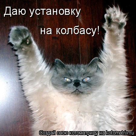 Даю установку на колбасу!... Котоматрица: Даю установку на колбасу!