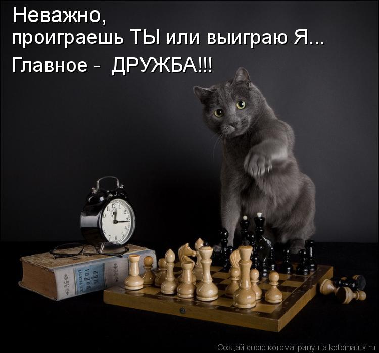 Неважно, проиграешь ТЫ или выиграю Я... Главное - ДРУЖБА!!!... Котоматрица: Неважно, проиграешь ТЫ или выиграю Я... Главное - ДРУЖБА!!!