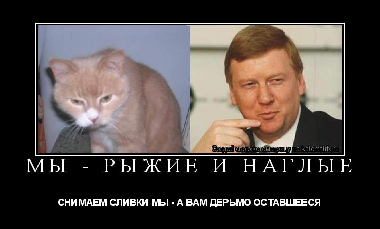 Котоматрица: МЫ - РЫЖИЕ И НАГЛЫЕ СНИМАЕМ СЛИВКИ МЫ - А ВАМ ДЕРЬМО ОСТАВШЕЕСЯ