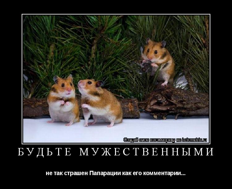 Котоматрица: Будьте мужественными не так страшен Папарации как его комментарии...
