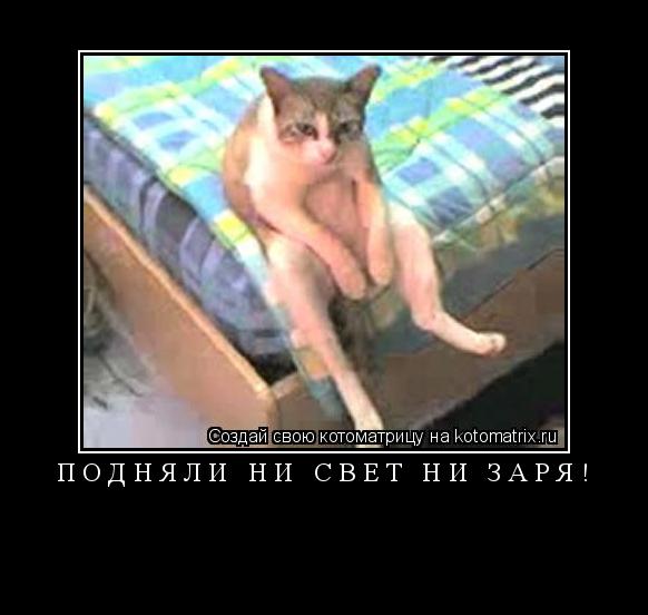 Котоматрица: Подняли ни свет ни заря! 