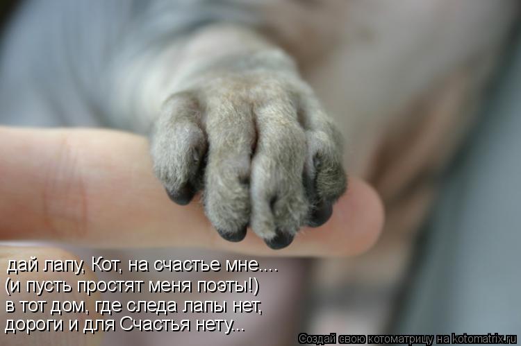 Котоматрица: дай лапу, Кот, на счастье мне.... (и пусть простят меня поэты!) в тот дом, где следа лапы нет, дороги и для Счастья нету...