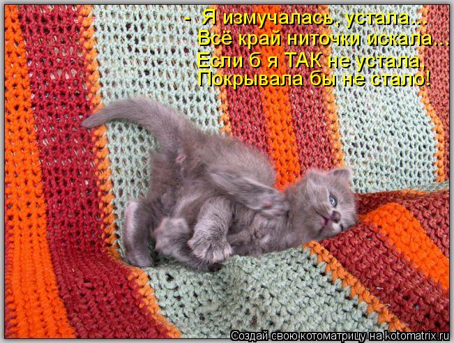 Котоматрица: Покрывала бы не стало! Если б я ТАК не устала, -  Я измучалась, устала... Всё край ниточки искала...
