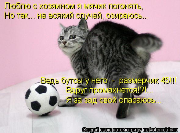 Люблю с хозяином я мячик погонять, Но так... на всякий случай, озираюсь... Ведь бутсы у него - разм... Котоматрица: Люблю с хозяином я мячик погонять, Но так... на всякий случай, озираюсь... Ведь бутсы у него - размерчик 45!!! Вдруг промахнется!?!... Я за зад свой