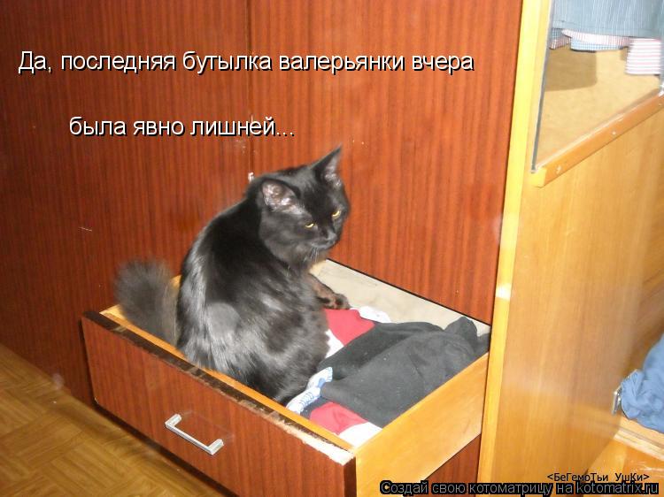 Да, последняя бутылка валерьянки вчера была явно лишней...... Котоматрица: Да, последняя бутылка валерьянки вчера была явно лишней...