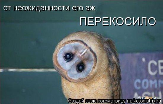 от неожиданности его аж ПЕРЕКОСИЛО... Котоматрица: от неожиданности его аж ПЕРЕКОСИЛО