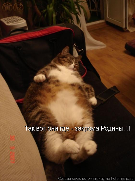 Так вот они где - закрома Родины...!... Котоматрица: Так вот они где - закрома Родины...!