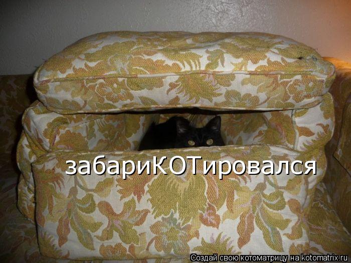 Котоматрица: забариКОТировался