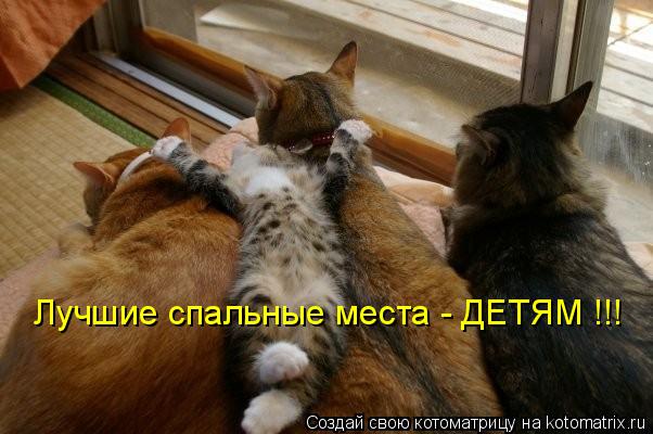 Котоматрица: Лучшие спальные места - ДЕТЯМ !!!