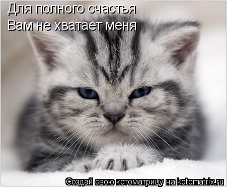 Котоматрица: Для полного счастья Вам не хватает меня