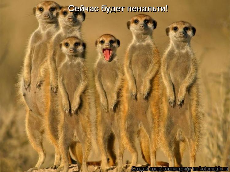 Котоматрица: Сейчас будет пенальти!