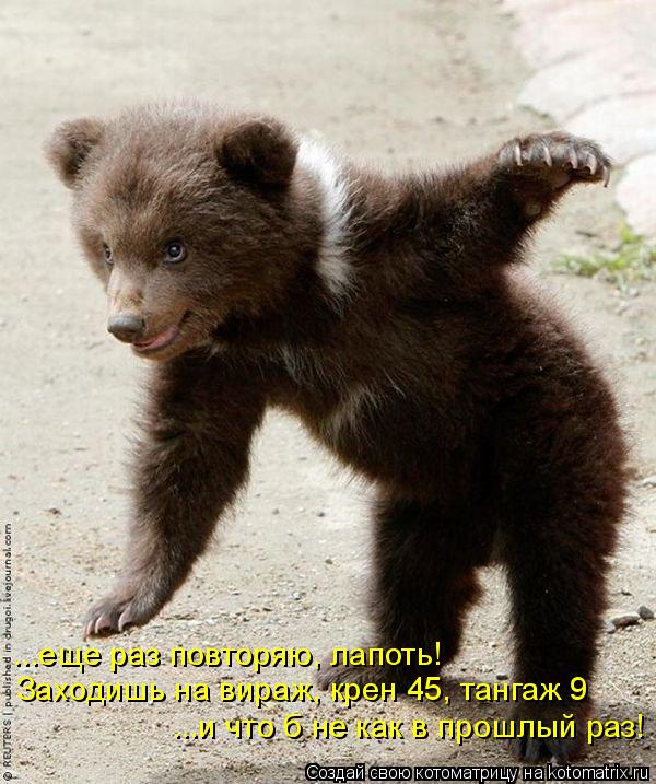 Котоматрица: ...еще раз повторяю, лапоть! Заходишь на вираж, крен 45, тангаж 9 ...и что б не как в прошлый раз!