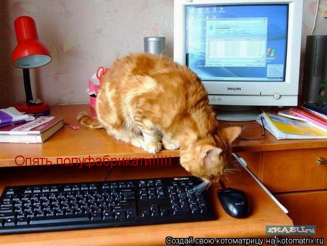 Котоматрица: Опять полуфабрикати!!!!!