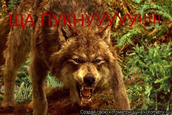 Котоматрица: ЩА ПУКНУУУУУ!!!!!