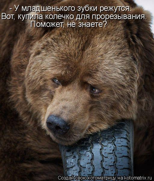 Котоматрица: - У младшенького зубки режутся. Вот, купила колечко для прорезывания. Поможет, не знаете?