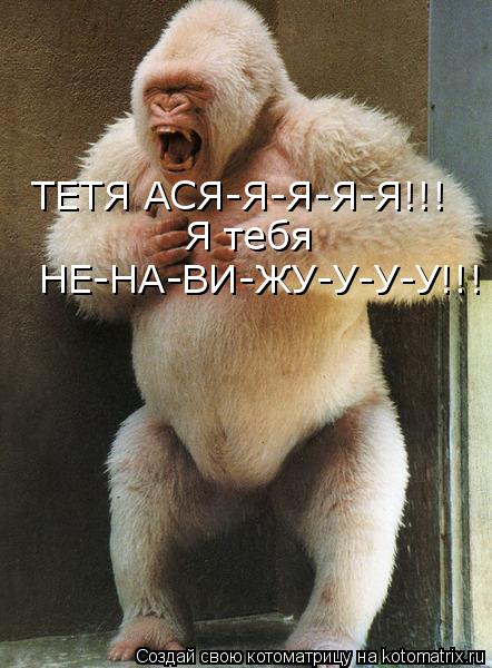 Котоматрица: ТЕТЯ АСЯ-Я-Я-Я-Я!!! Я тебя  НЕ-НА-ВИ-ЖУ-У-У-У!!!