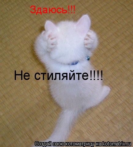 Котоматрица: Здаюсь!!! Не стиляйте!!!!