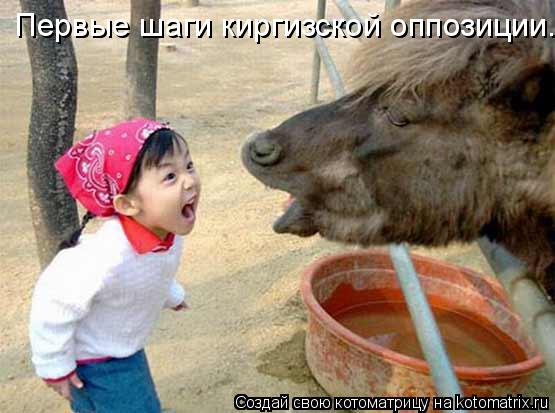 Котоматрица: Первые шаги киргизской оппозиции.