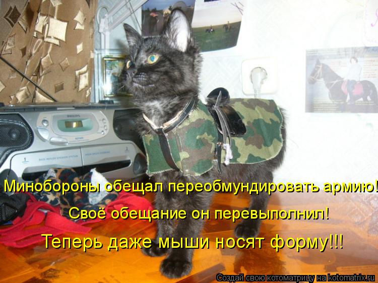 Котоматрица: Минобороны обещал переобмундировать армию! Своё обещание он перевыполнил! Теперь даже мыши носят форму!!!