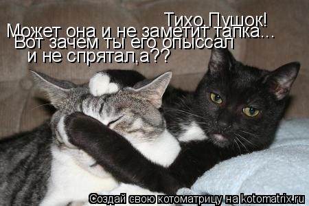 Котоматрица: Тихо,Пушок! Может она и не заметит тапка... Вот зачем ты его опыссал и не спрятал,а??