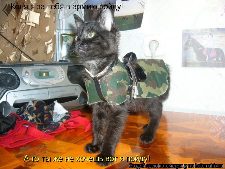 Котоматрица: Коля,я за тебя в армию пойду! А то ты же не хочешь,вот я пойду!