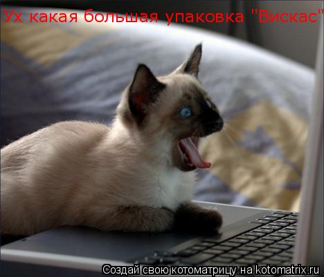 Котоматрица: Ух какая большая упаковка "Вискас"