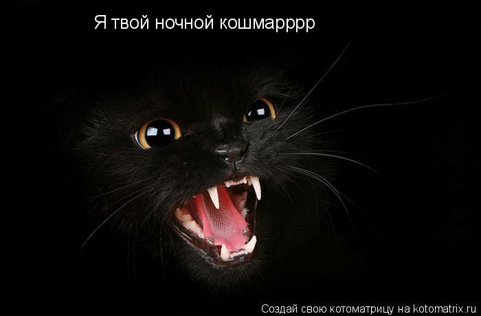 Котоматрица: Я твой ночной кошмарррр