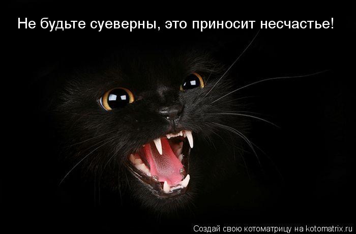 Котоматрица: Не будьте суеверны, это приносит несчастье!