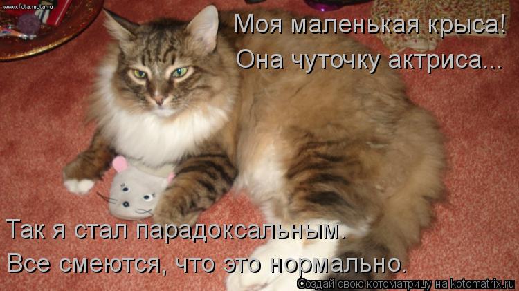 Котоматрица: Моя маленькая крыса! Она чуточку актриса... Так я стал парадоксальным. Все смеются, что это нормально.